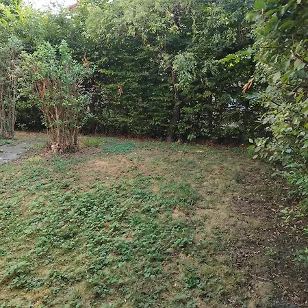 At *
